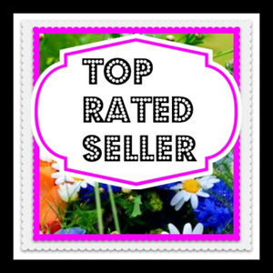 New & Used Designer Clothing